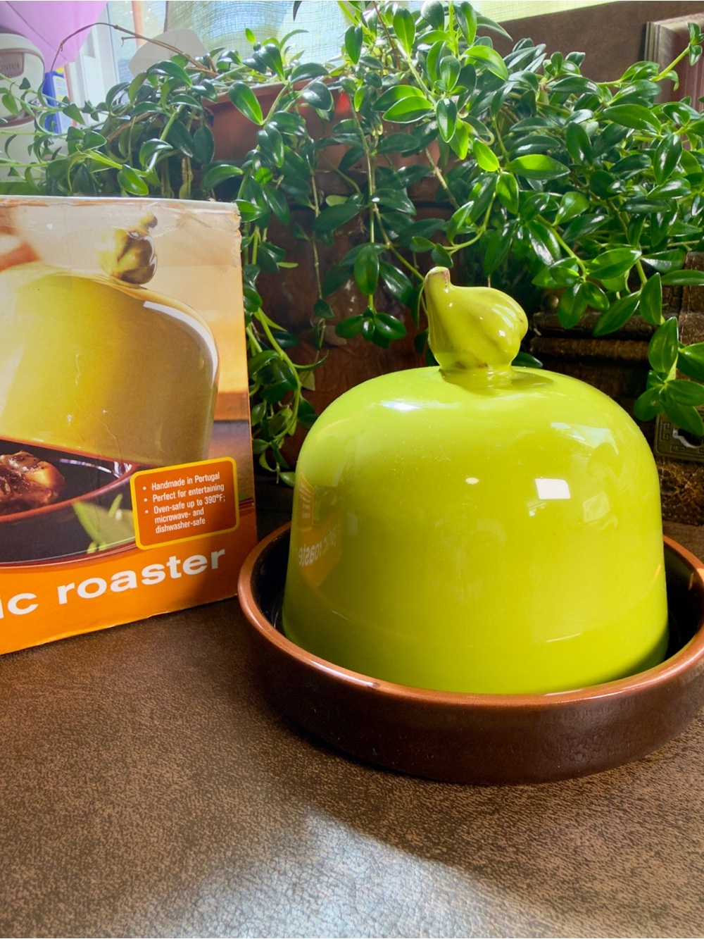 Ceramic Garlic Roaster  by Bobby Flay - Lime Green